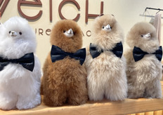 Weich has home textiles and decoration pieces made from Alpaca wool. They were dressed for the occasion. 